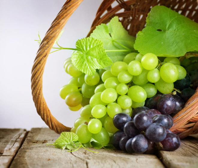 Каждый сорт винограда в одной грозди может иметь разные, достаточно сильно отличающиеся по форме ягоды