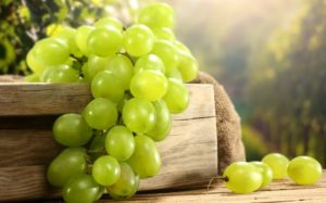 Белый виноград или немного зеленоватый и желтый – это Мускат, Алиготе, Рислинг