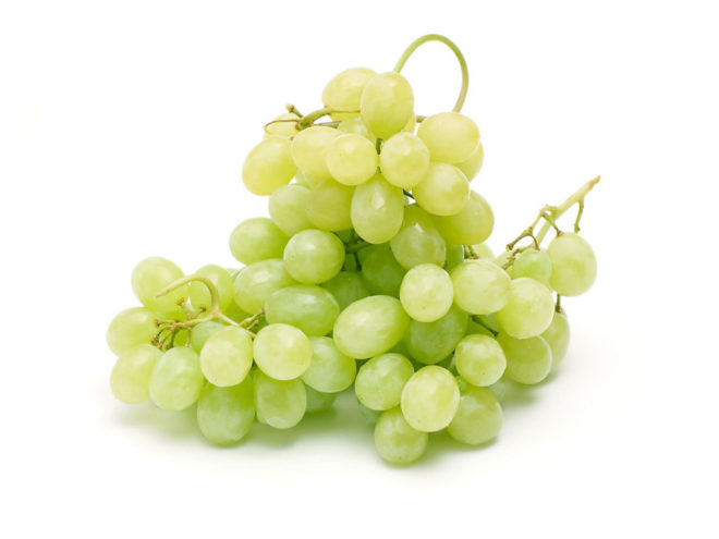 Белый Кишмиш — сорт винограда, относящийся к десертным видам