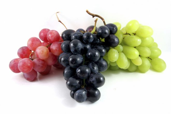 Лечебные и полезные свойства винограда считаются доказанными