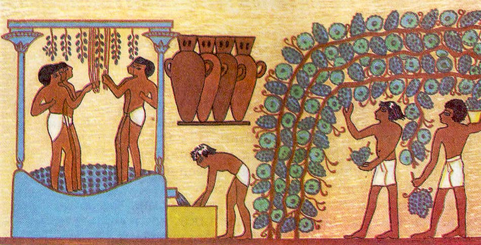 Рисунки винограда в Египте