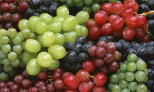Перед началом приготовления определяем уровень сахаристости винограда