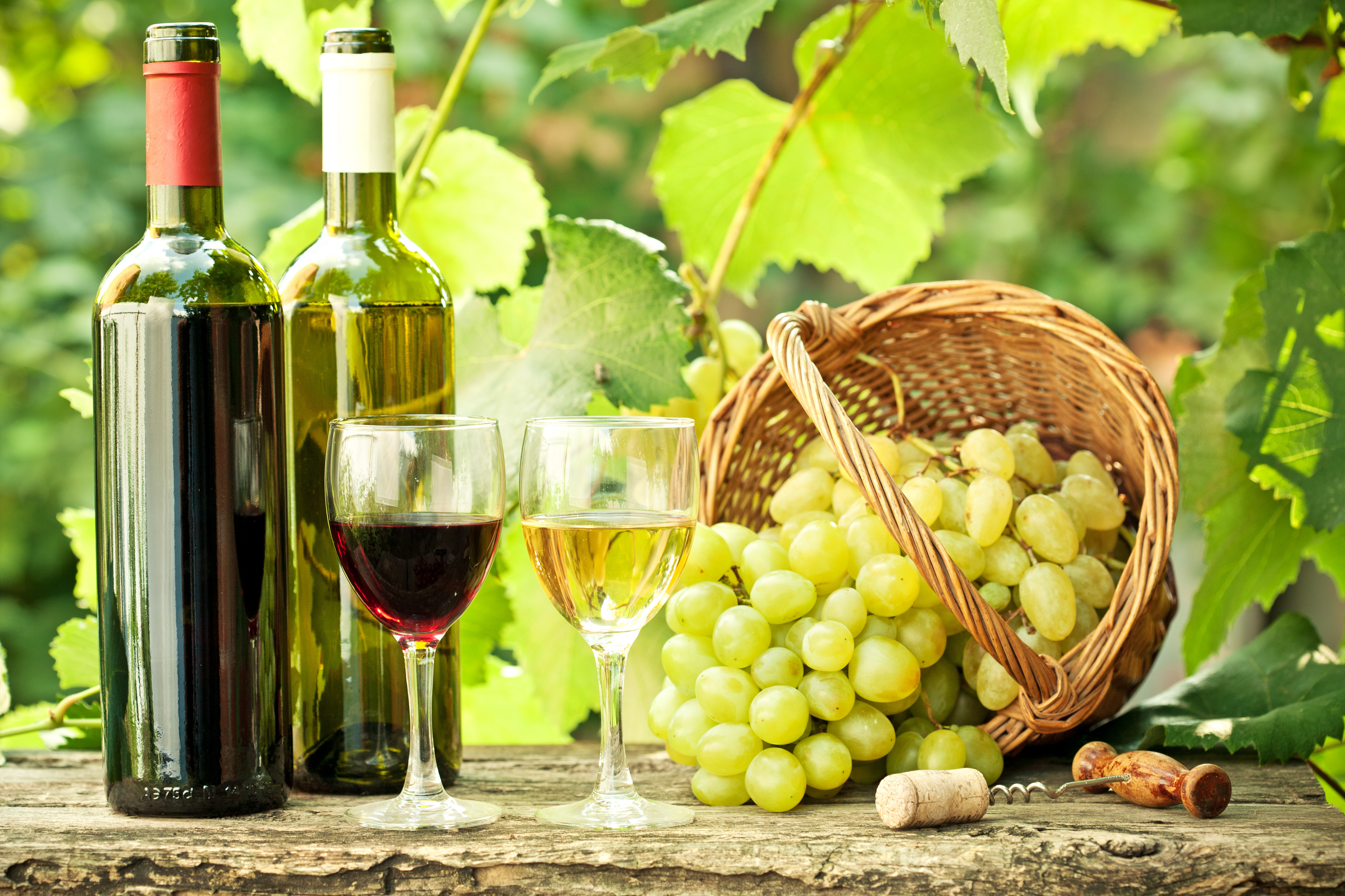 Важно знать сколько винограда понадобится на литр вина 