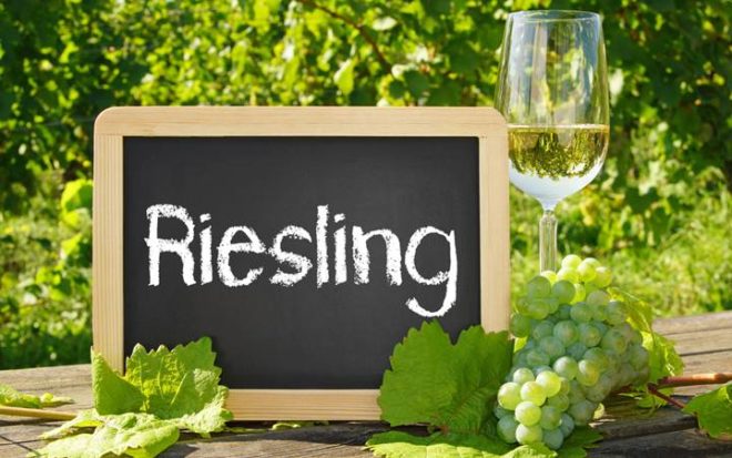 В Германии сорт винограда "Рислинг" считается символом виноделия