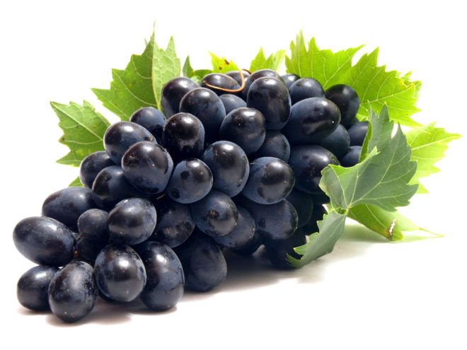 Сахаристость винограда зависит от многих факторов