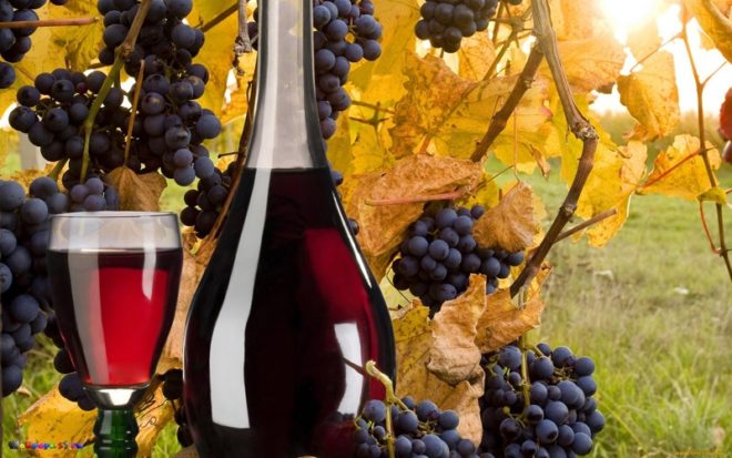 Напитки из синего винограда получаются красивых рубиновых оттенков
