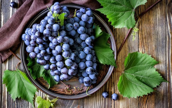 О полезных свойствах винограда заявляют компетентные врачи и специалисты