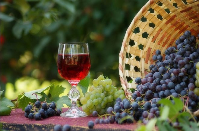 Мерло часто называют дамским вином
