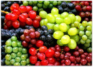 Виноградные сорта классифицируются по срокам созревания и периоду вегетации