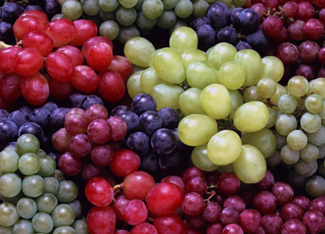 На сегодняшний день существует около 5000 сортов винограда