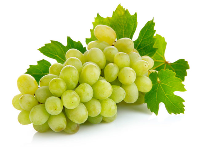 В любом сорте винограда есть необходимый для нашего организма набор полезных веществ