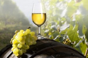 Белые сорта винограда можно назвать безотходными