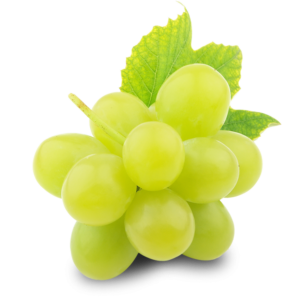 Основные сорта белого винограда были получены благодаря селекции