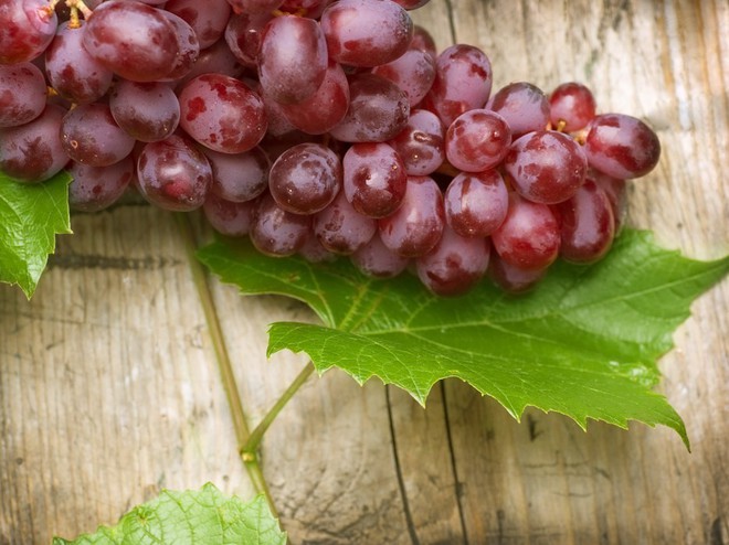 Виноградное растение было окультурено человеком одним из первых